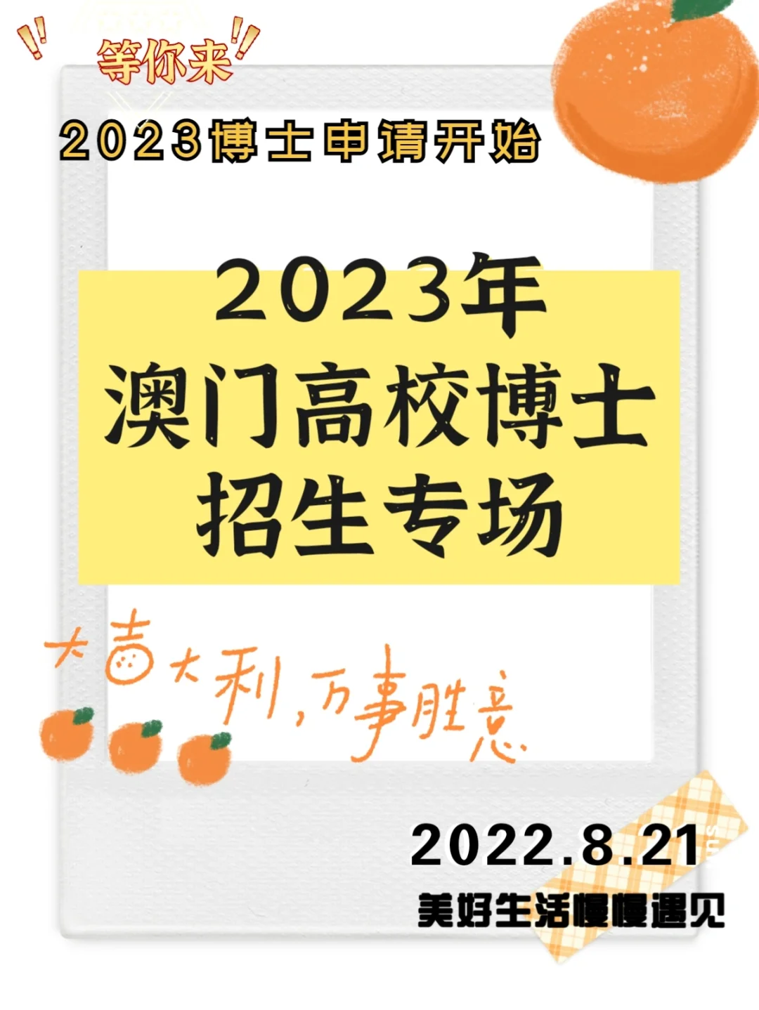 2023澳门全年资料免费,最新热门解析实施_精英版121,127.13