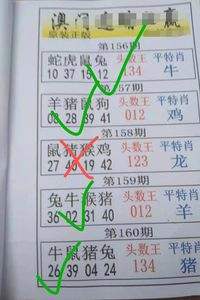 澳门独家九肖的简单介绍