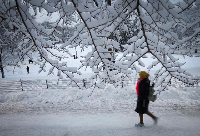 暴风雪中的白鸟,数据整合方案实施_投资版121,127.13