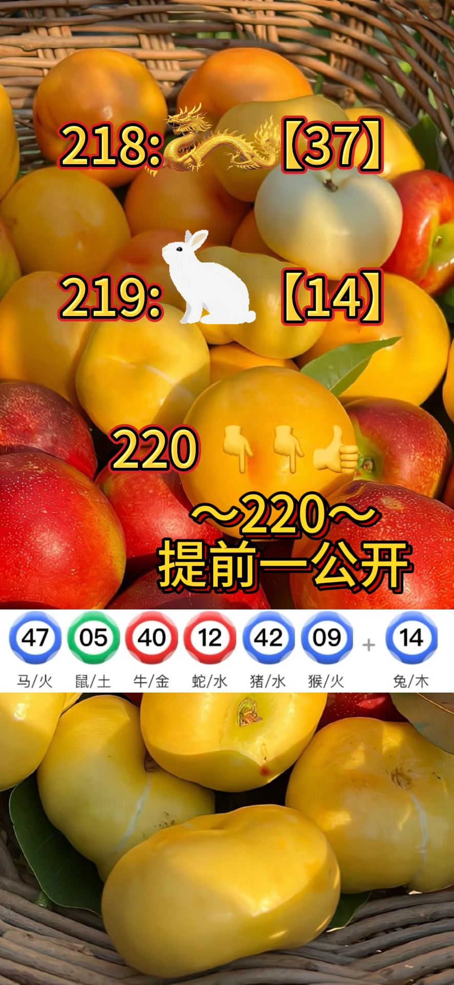 澳门马正版免费资料资料大全,效能解答解释落实_游戏版121,127.12