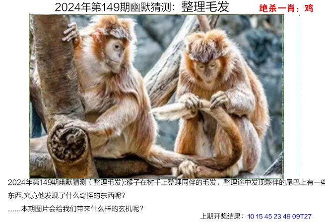 2024澳门正牌资料大全免费,效能解答解释落实_游戏版121,127.12