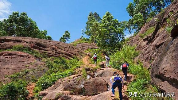 （澳门开奖结果+开奖记录2021年284六）