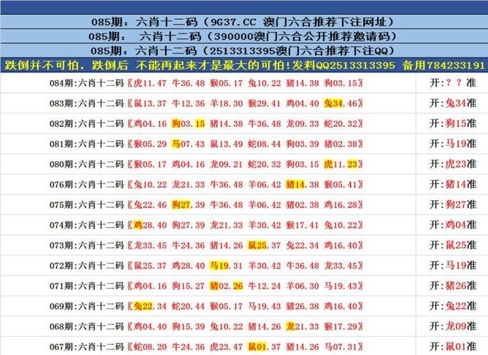 澳门老九龙免费资料，老九龙高手资料论坛