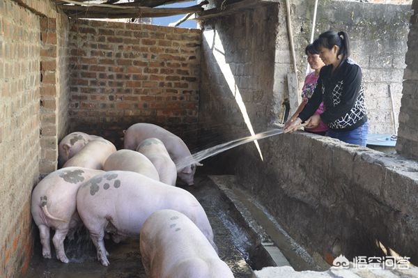 广西小伙娶非洲媳妇，广西小伙娶非洲媳妇视频