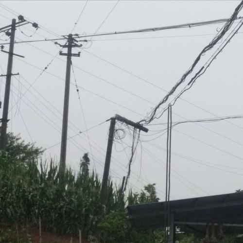 儿童碰路灯电桩身亡,儿童碰路灯电桩身亡案例